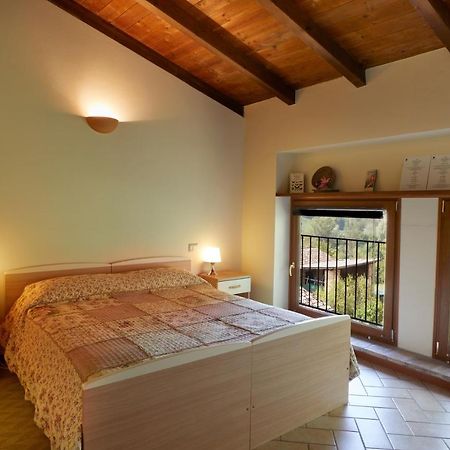 Agriturismo Ca' Del Ciuco Vezzano sul Crostolo Eksteriør bilde